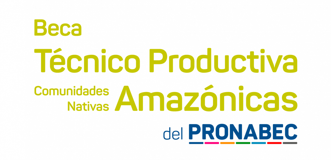 Concursos Becas Créditos – PRONABEC | PROGRAMA NACIONAL DE BECAS Y ...